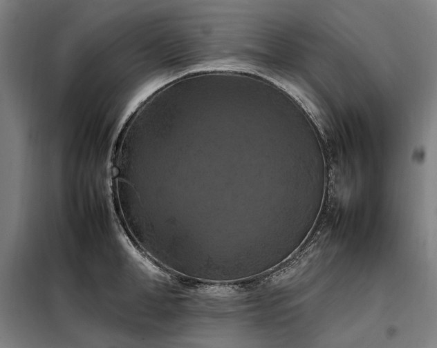 X0000098000998200804021027