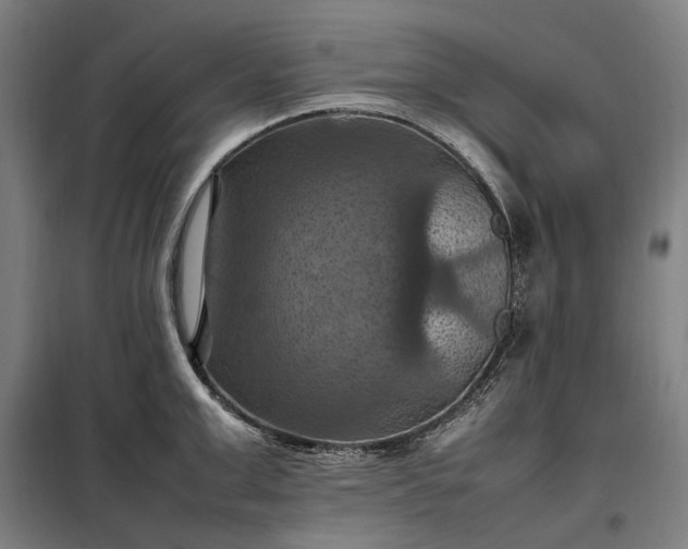X0000098000999200804021027