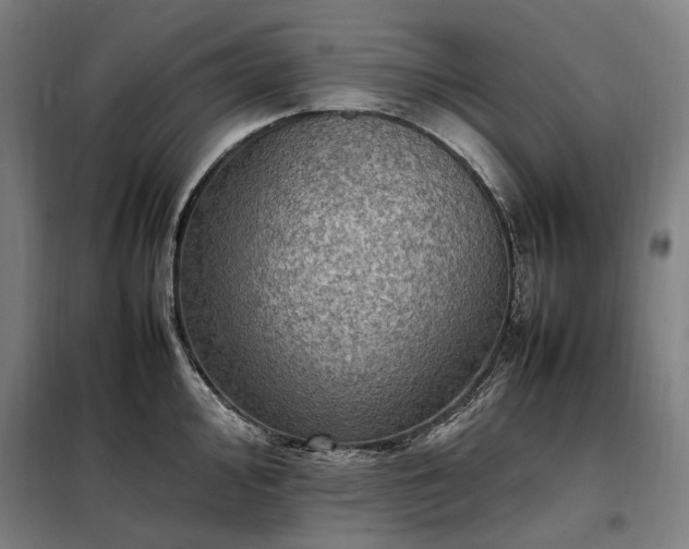 X0000098001000200804021027