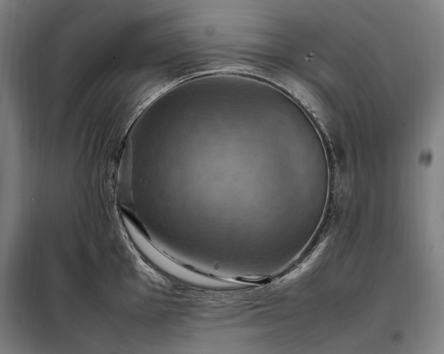 X0000098001001200804021027
