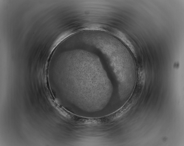 X0000098001002200804021027