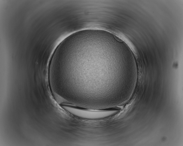 X0000098001004200804021027