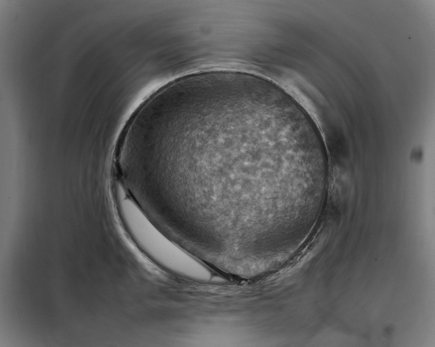X0000098001005200804021027