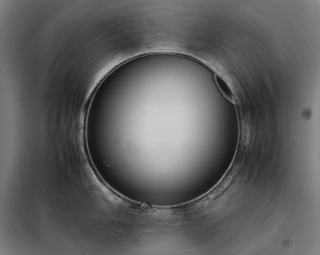 X0000098001006200804021027
