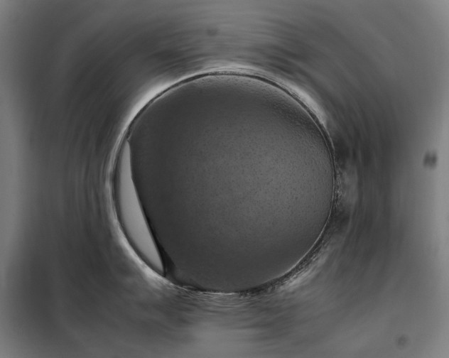 X0000098001007200804021027