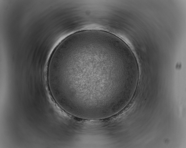 X0000098001008200804021027
