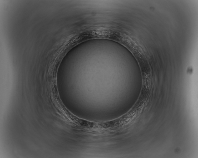 X0000098001009200804021026