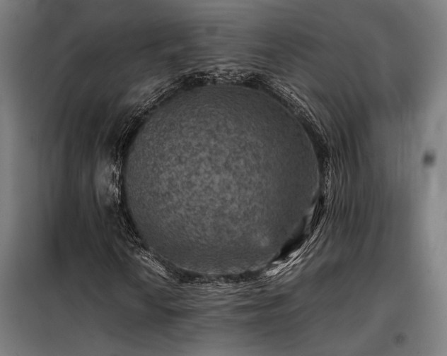 X0000098001010200804021026
