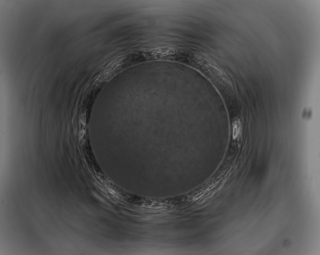 X0000098001011200804021026