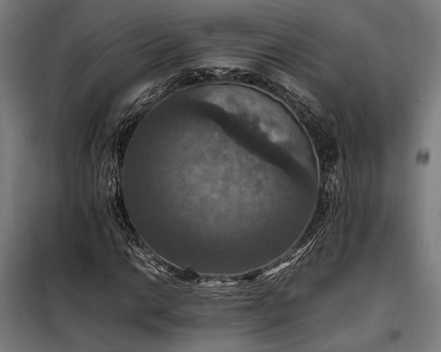 X0000098001014200804021026
