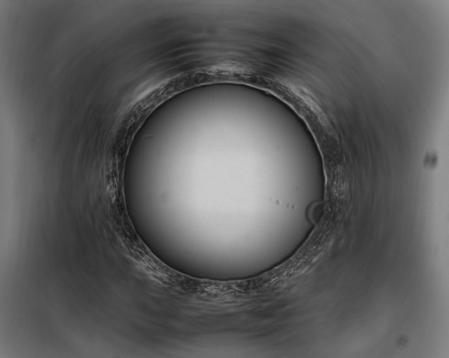 X0000098001015200804021026