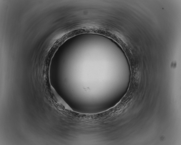 X0000098001016200804021026