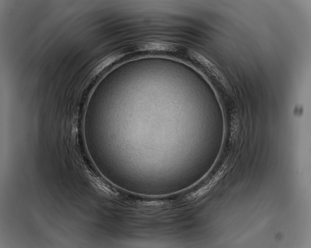 X0000098001017200804021026