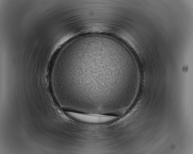 X0000098001018200804021026