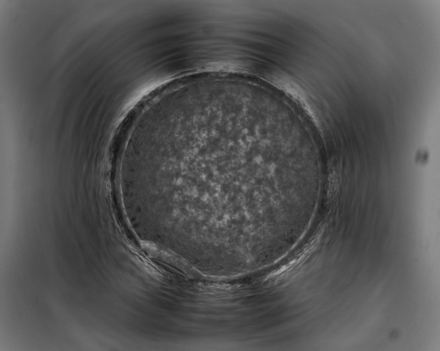X0000098001019200804021026