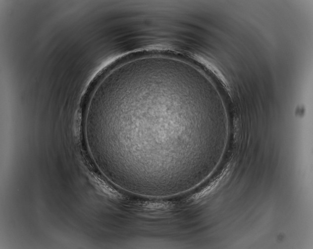 X0000098001021200804021026