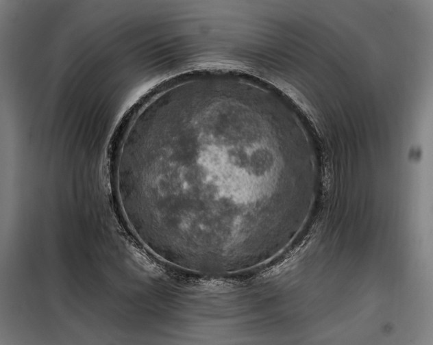 X0000098001022200804021026