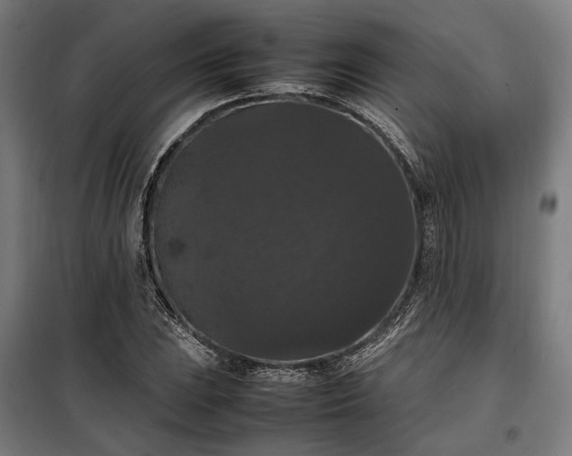 X0000098001023200804021026
