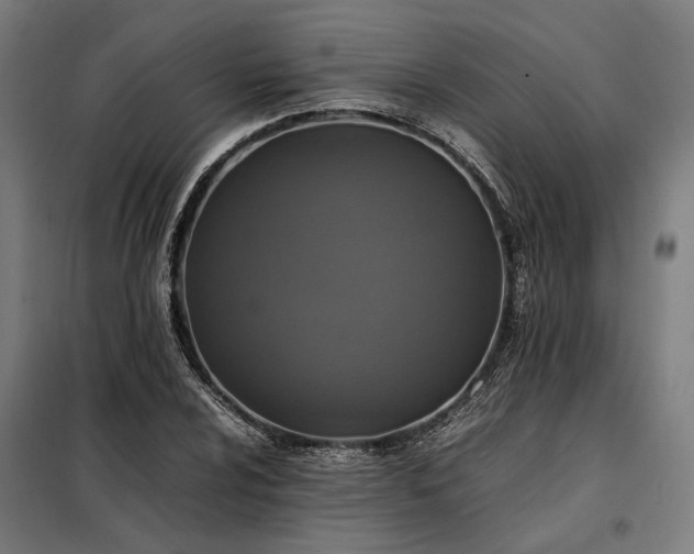 X0000098001024200804021026