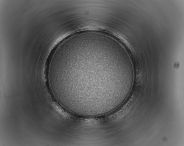 X0000098001026200804021026