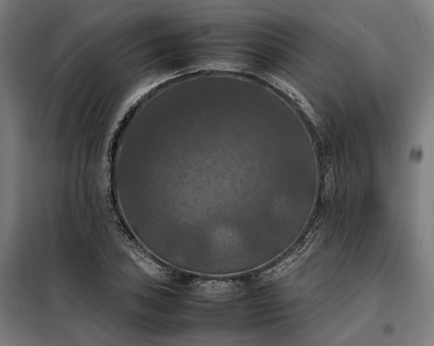 X0000098001027200804021026