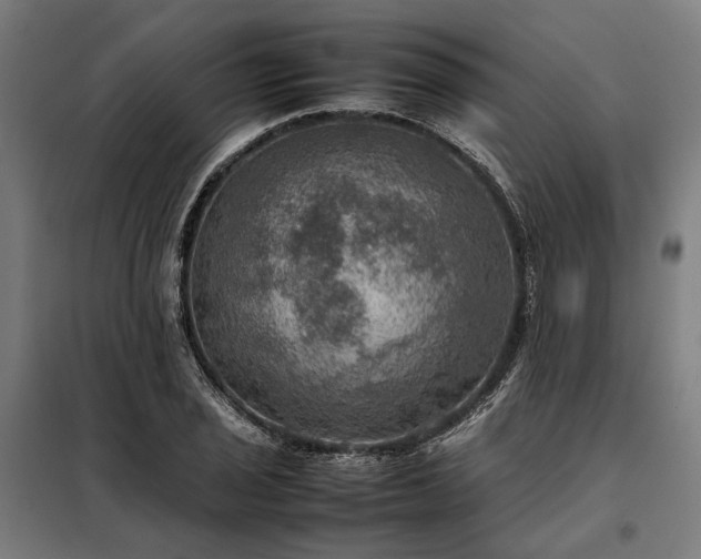 X0000098001029200804021026