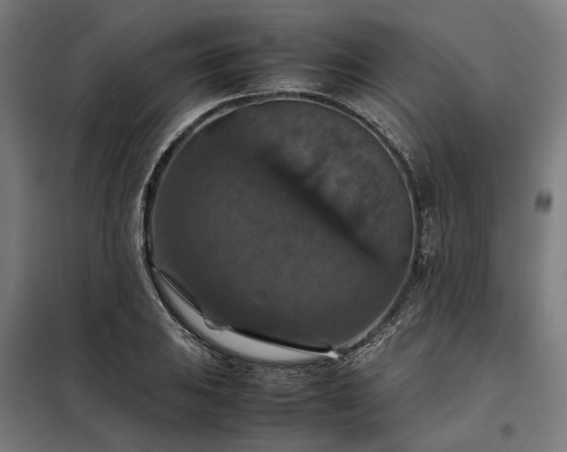 X0000098001031200804021026