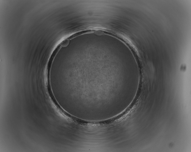 X0000098001032200804021026