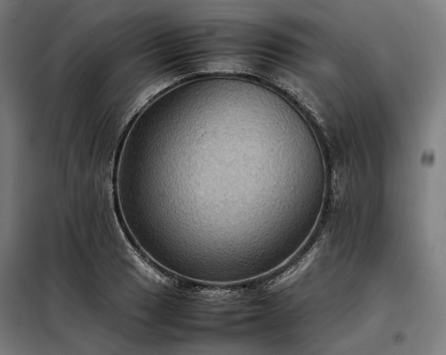 X0000098001033200804021026