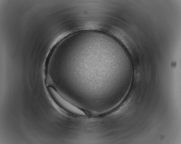 X0000098001034200804021026