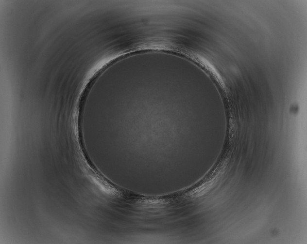 X0000098001035200804021026