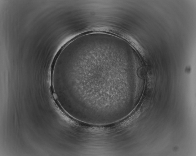 X0000098001036200804021026