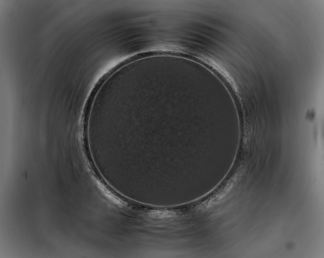 X0000098001037200804021026