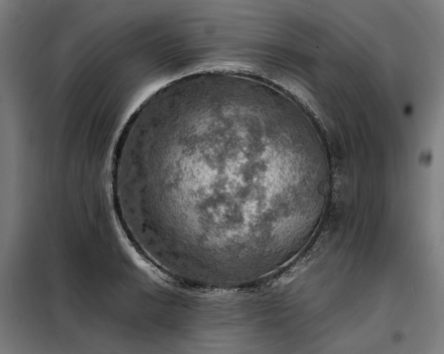 X0000098001038200804021026