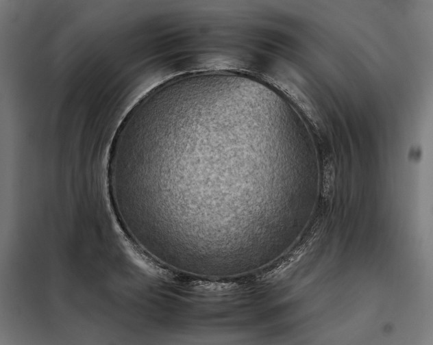 X0000098001039200804021027
