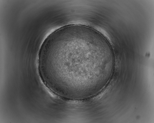 X0000098001040200804021027