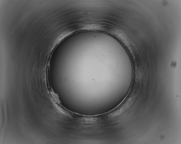 X0000098001041200804021027