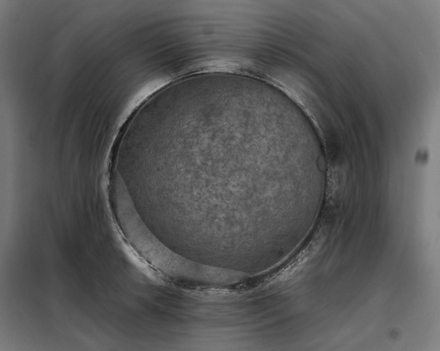 X0000098001042200804021027