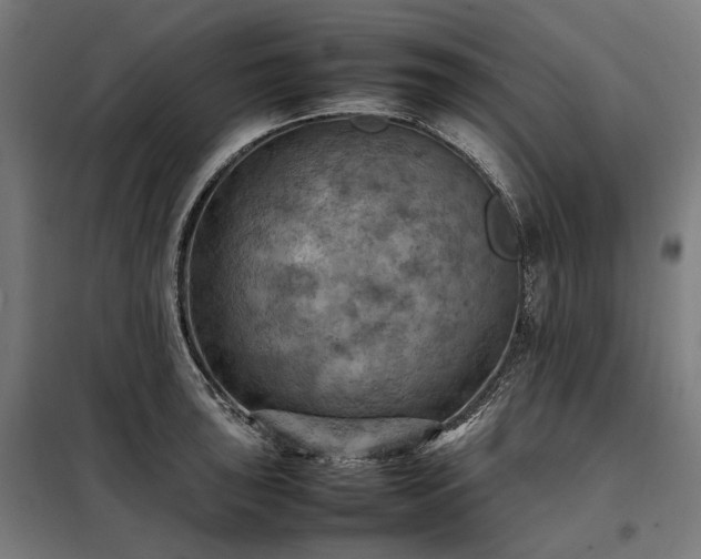 X0000098001043200804021027