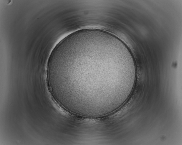 X0000098001044200804021027