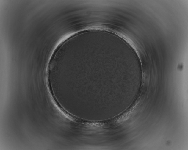 X0000098001045200804021027