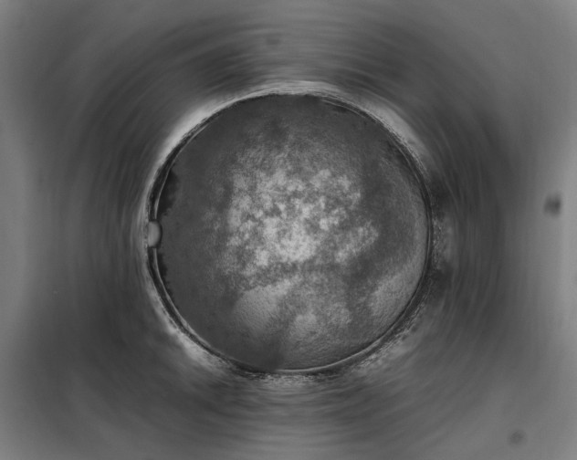 X0000098001046200804021027