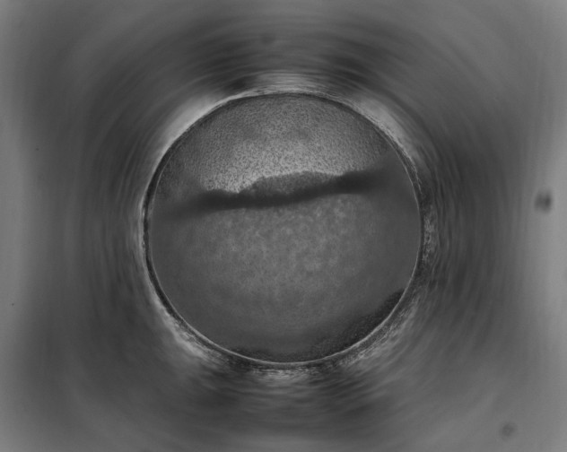 X0000098001047200804021027