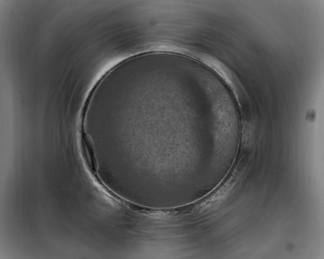 X0000098001048200804021027
