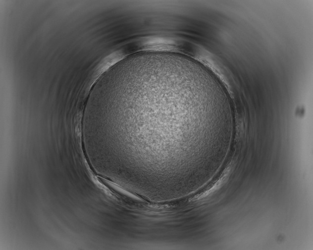 X0000098001049200804021027