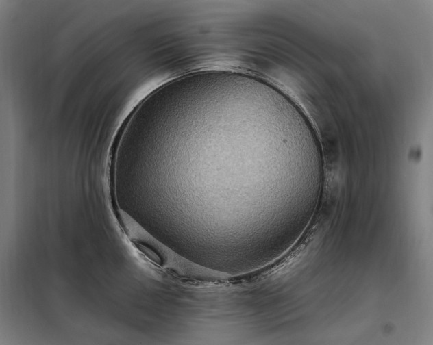 X0000098001050200804021027