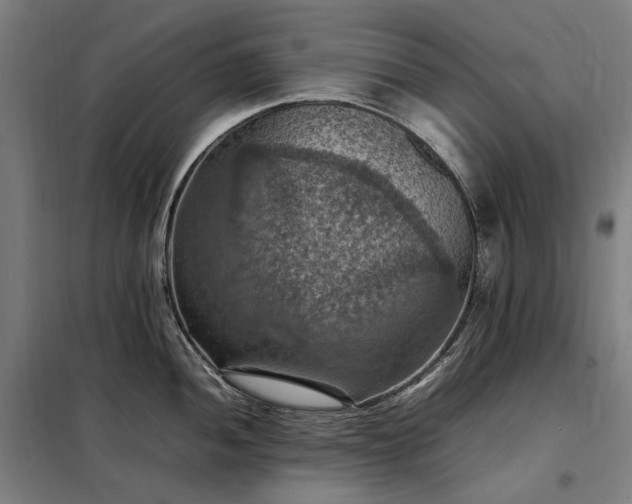 X0000098001052200804021027