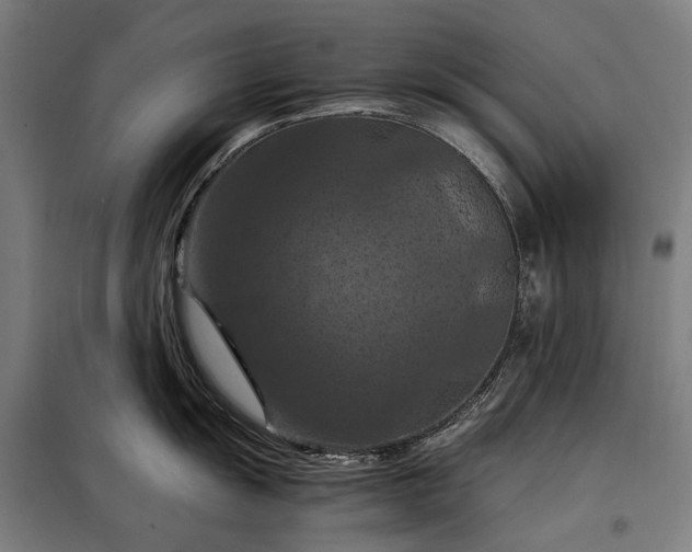 X0000098001055200804021027