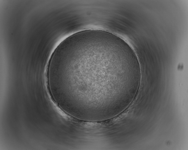 X0000098001056200804021027