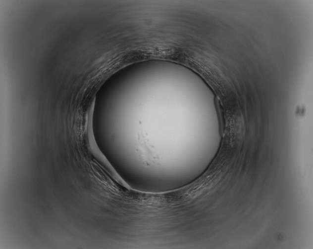X0000098001058200804021026
